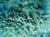 dsc05453_small.jpg