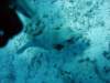 dsc05454_small.jpg