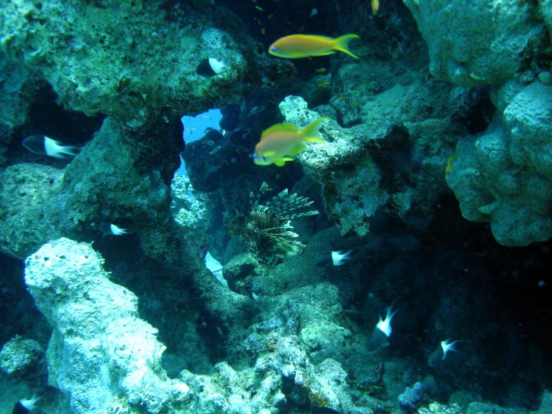 dsc05455.jpg