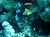 dsc05455_small.jpg