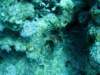 dsc05456_small.jpg