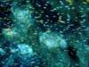 dsc05457_small.jpg