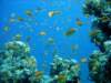 dsc05458_small.jpg
