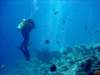 dsc05460_small.jpg
