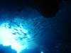 dsc05465_small.jpg