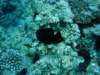 dsc05466_small.jpg