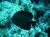 dsc05467_small.jpg
