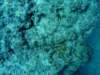 dsc05468_small.jpg