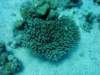 dsc05469_small.jpg
