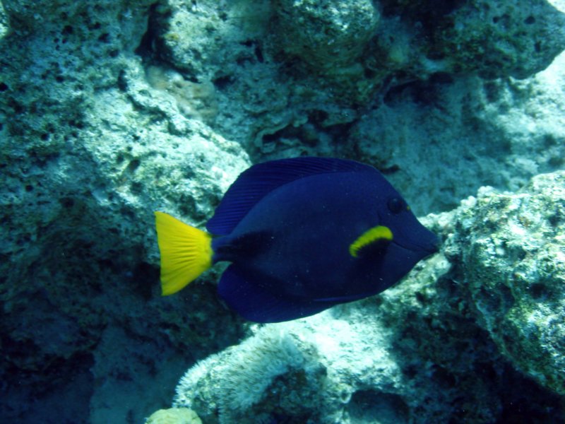dsc05470.jpg