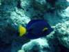 dsc05470_small.jpg