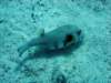 dsc05471_small.jpg