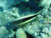 dsc05472_small.jpg