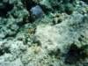 dsc05484_small.jpg