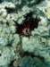 dsc05486_small.jpg