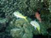 dsc05487_small.jpg