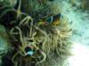 dsc05488_small.jpg