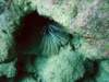 dsc05490_small.jpg