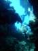 dsc05491_small.jpg