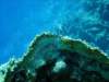 dsc05493_small.jpg