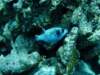 dsc05495_small.jpg