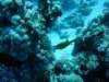 dsc05496_small.jpg