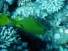 dsc05497_small.jpg