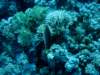 dsc05498_small.jpg