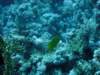 dsc05501_small.jpg