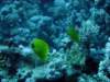 dsc05502_small.jpg