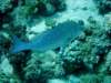dsc05503_small.jpg