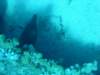 dsc05504_small.jpg