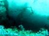 dsc05505_small.jpg