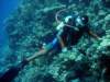 dsc05508_small.jpg