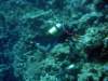 dsc05509_small.jpg