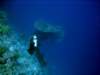 dsc05511_small.jpg
