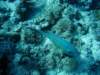 dsc05512_small.jpg