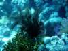 dsc05513_small.jpg