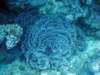 dsc05514_small.jpg