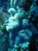 dsc05515_small.jpg