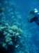 dsc05516_small.jpg
