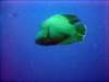dsc05518_small.jpg