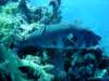 dsc05521_small.jpg