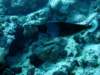 dsc05524_small.jpg