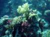 dsc05527_small.jpg