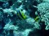 dsc05529_small.jpg