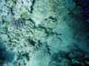 dsc05531_small.jpg