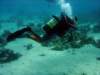 dsc05532_small.jpg