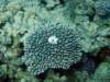 dsc05534_small.jpg