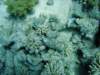 dsc05536_small.jpg